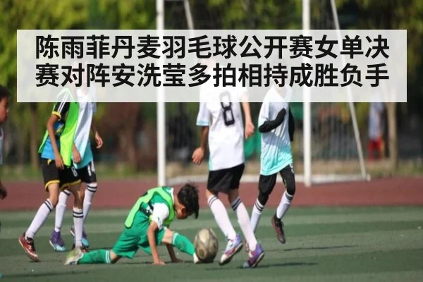 陈雨菲丹麦羽毛球公开赛女单决赛对阵安洗莹多拍相持成胜负手 - kaiyun